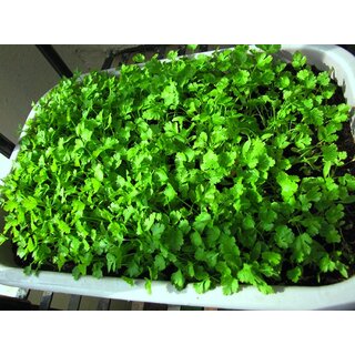 144118561-97481925-1689292160