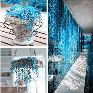 149192135-105386649-1583614272