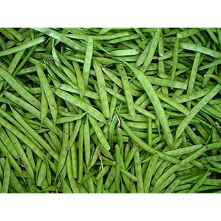 150258882-108270546-1593701643